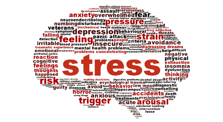 cortisol