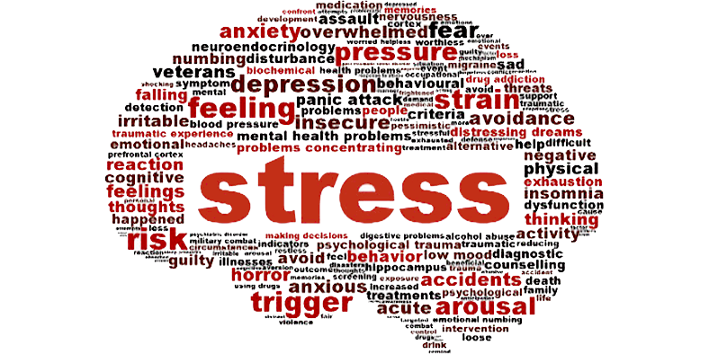 cortisol